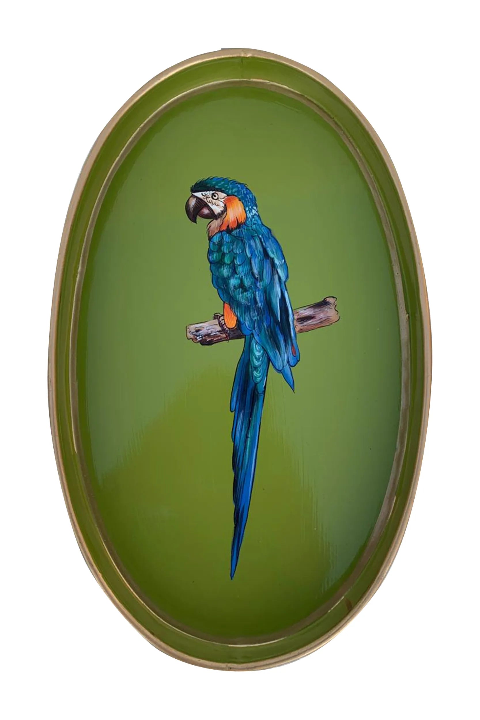 Parrot Iron Tray